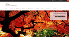 Desktop Screenshot of burgan-systems.com